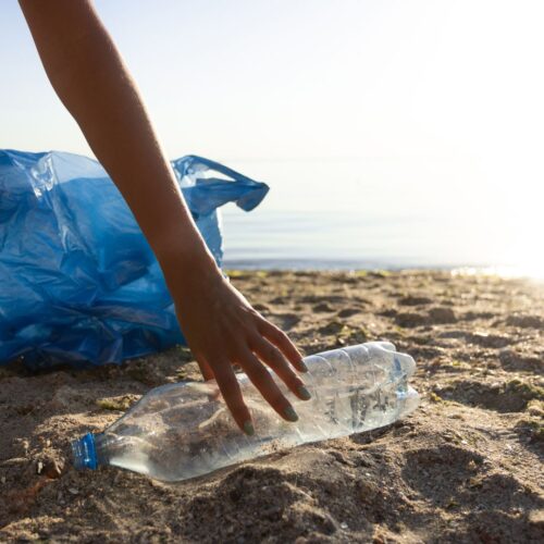 Beach Clean Up Zeeland